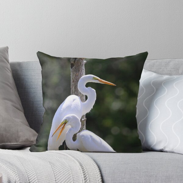 Item preview, Juvenile Great Egrets II designed and sold by CarolRMontoya.