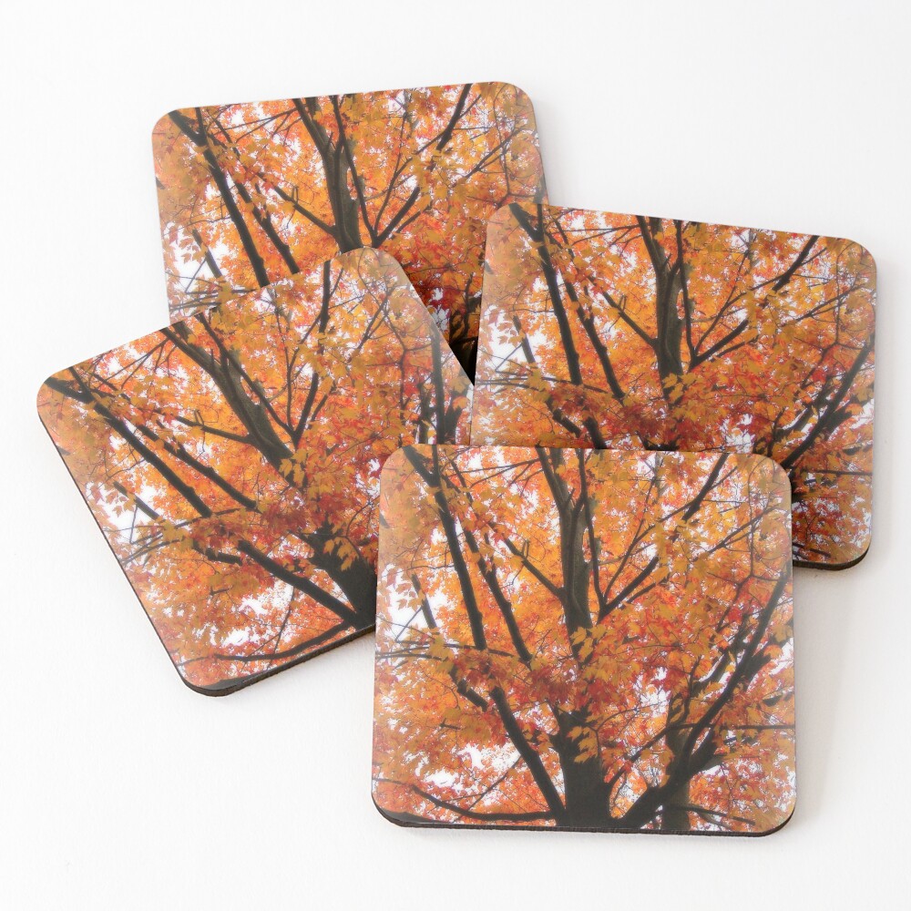 Item preview, Coasters (Set of 4) designed and sold by traceh38.