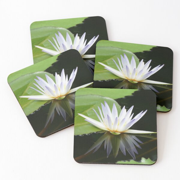Item preview, White Water Lily Reflecting on Pond Water designed and sold by PaulinaS.