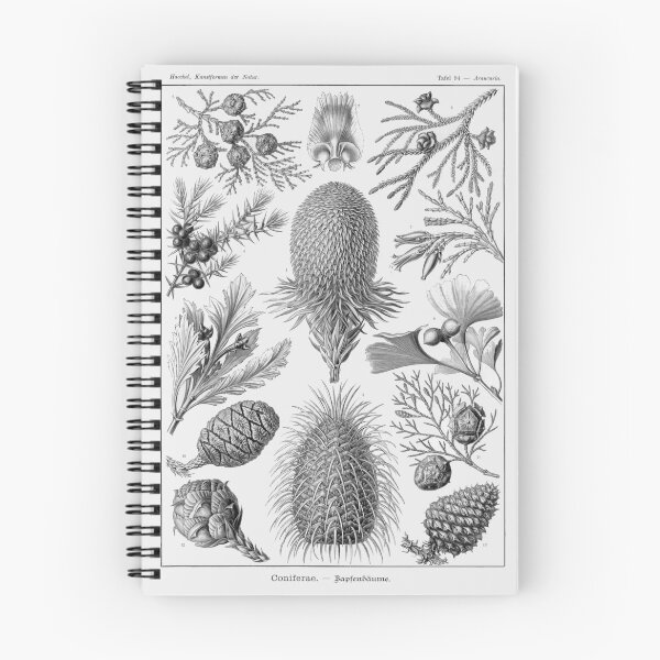Item preview, Plate 94. Coniferae, pine trees and relatives designed and sold by Squirrox.