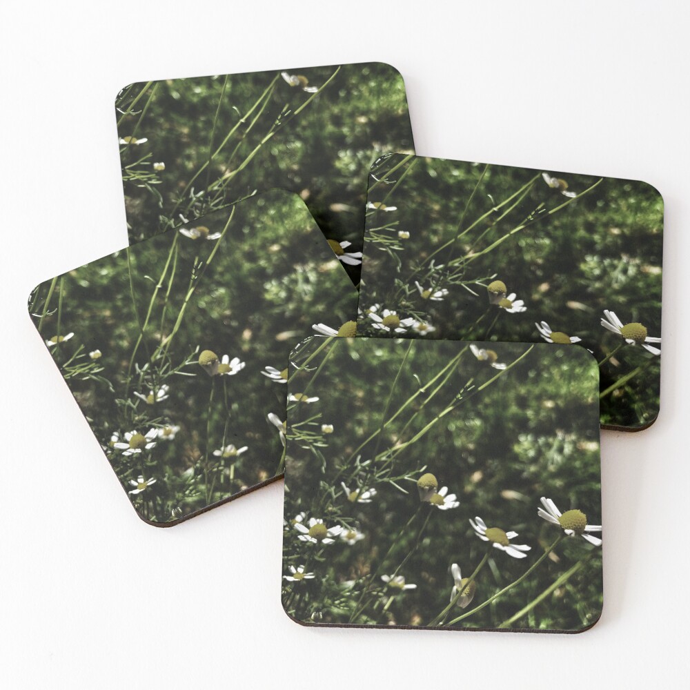 Item preview, Coasters (Set of 4) designed and sold by Thatchance.