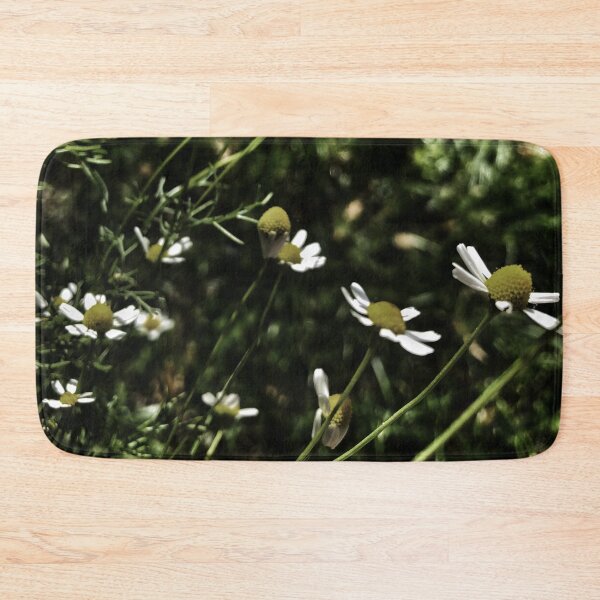 Item preview, Evening chamomile designed and sold by Trendature Online .