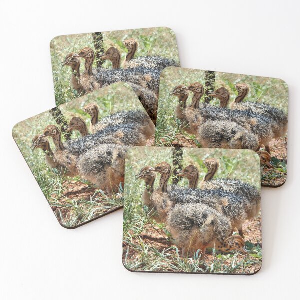 Item preview, BABY GATHERING -  THE OSTRICH – Struthio camelus designed and sold by Magriet Meintjes.