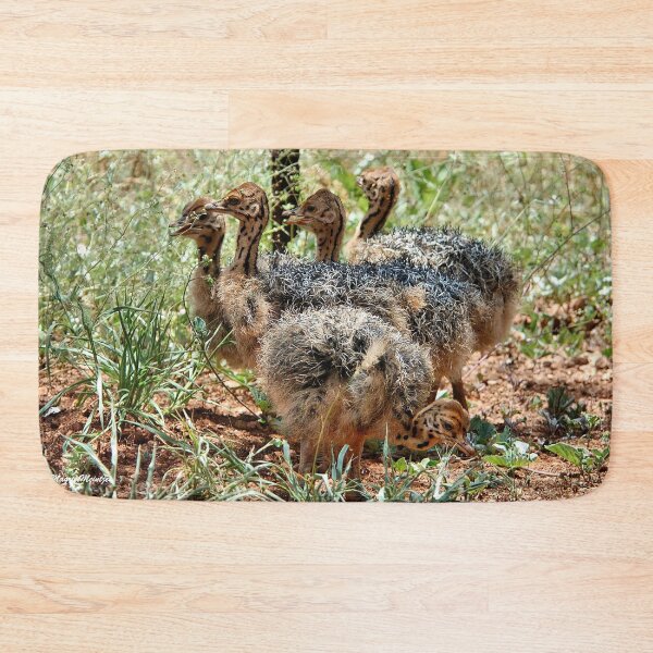 Item preview, BABY GATHERING -  THE OSTRICH – Struthio camelus designed and sold by Magriet Meintjes.
