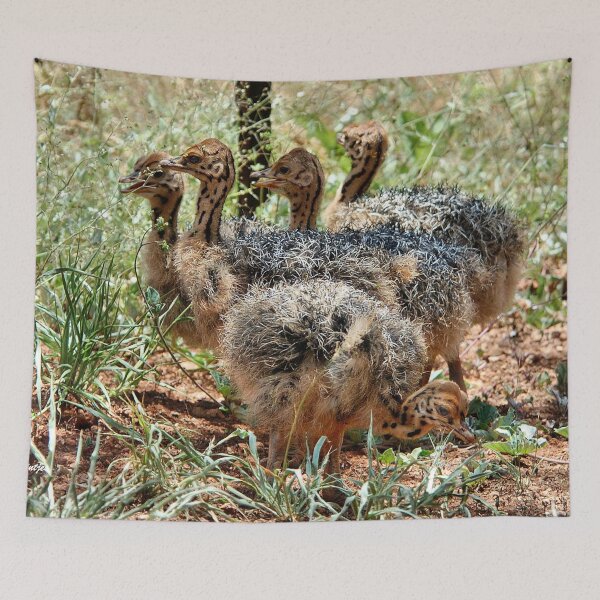 Item preview, BABY GATHERING -  THE OSTRICH – Struthio camelus designed and sold by Magriet Meintjes.