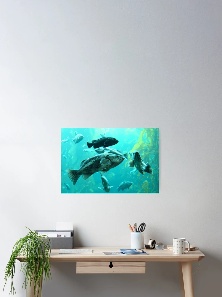 Thumbnail 2 of 3, Poster, Ocean Fish designed and sold by Tracy Engle.