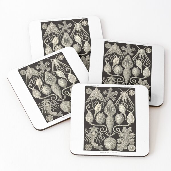 Item preview, Plate 95. Amphoridea. A previous grouping of Echinoderms designed and sold by Squirrox.