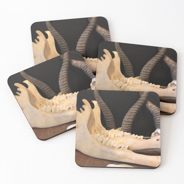 Item preview, Calcium designed and sold by Bronx Blonde.