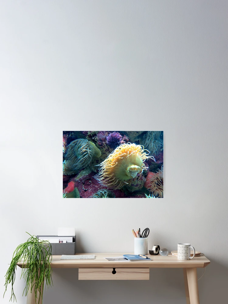 Thumbnail 2 of 3, Poster, The Colorful Sea designed and sold by Tracy Engle.