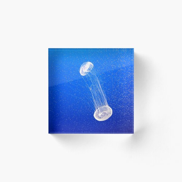 Crystal Jellyfish Acrylic Block