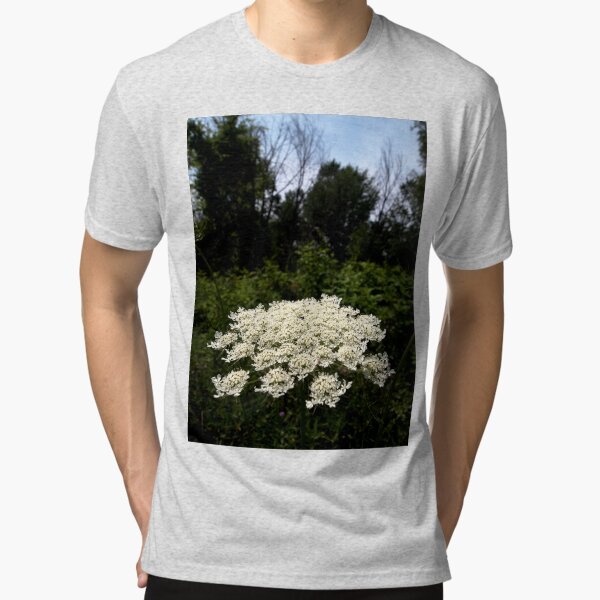 Tri-blend T-Shirt