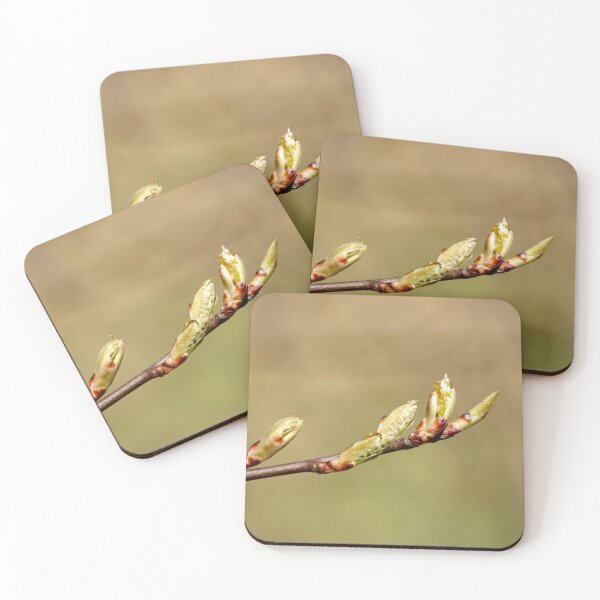Item preview, Spring branch designed and sold by Shoshina.