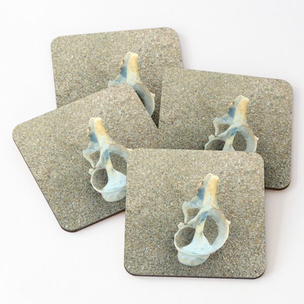 Item preview, shell designed and sold by KathleenDawson.