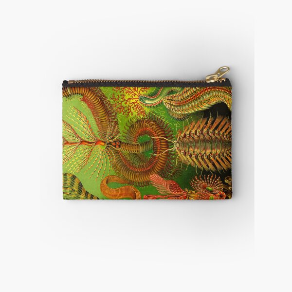 Item preview, Plate 96. Chaetopoda, an order of segmented worms. designed and sold by Squirrox.