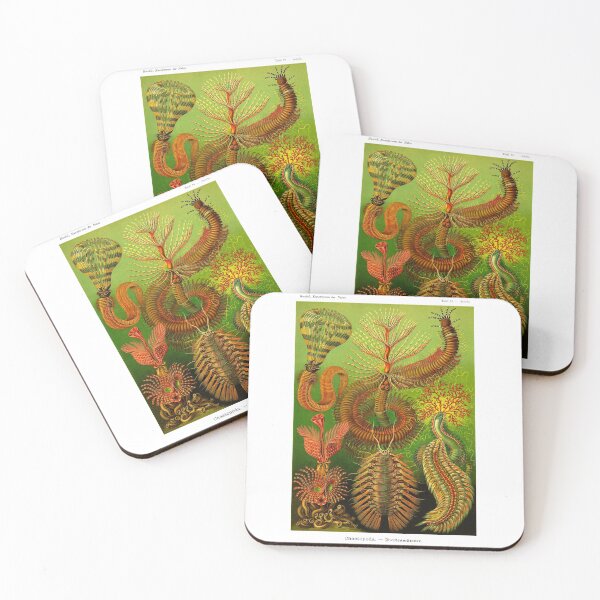 Item preview, Plate 96. Chaetopoda, an order of segmented worms. designed and sold by Squirrox.