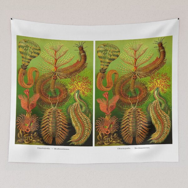 Item preview, Plate 96. Chaetopoda, an order of segmented worms. designed and sold by Squirrox.