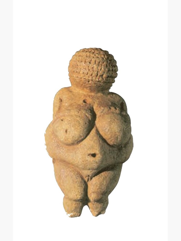 #Venus of #Willendorf #artifact sculpture art figurine statue humanbody #VenusofWillendorf by znamenski