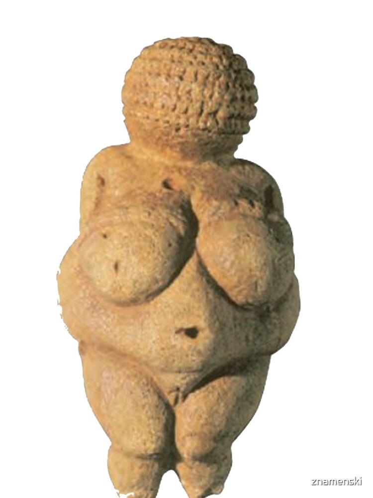 #Venus of #Willendorf #artifact sculpture art figurine statue humanbody #VenusofWillendorf by znamenski