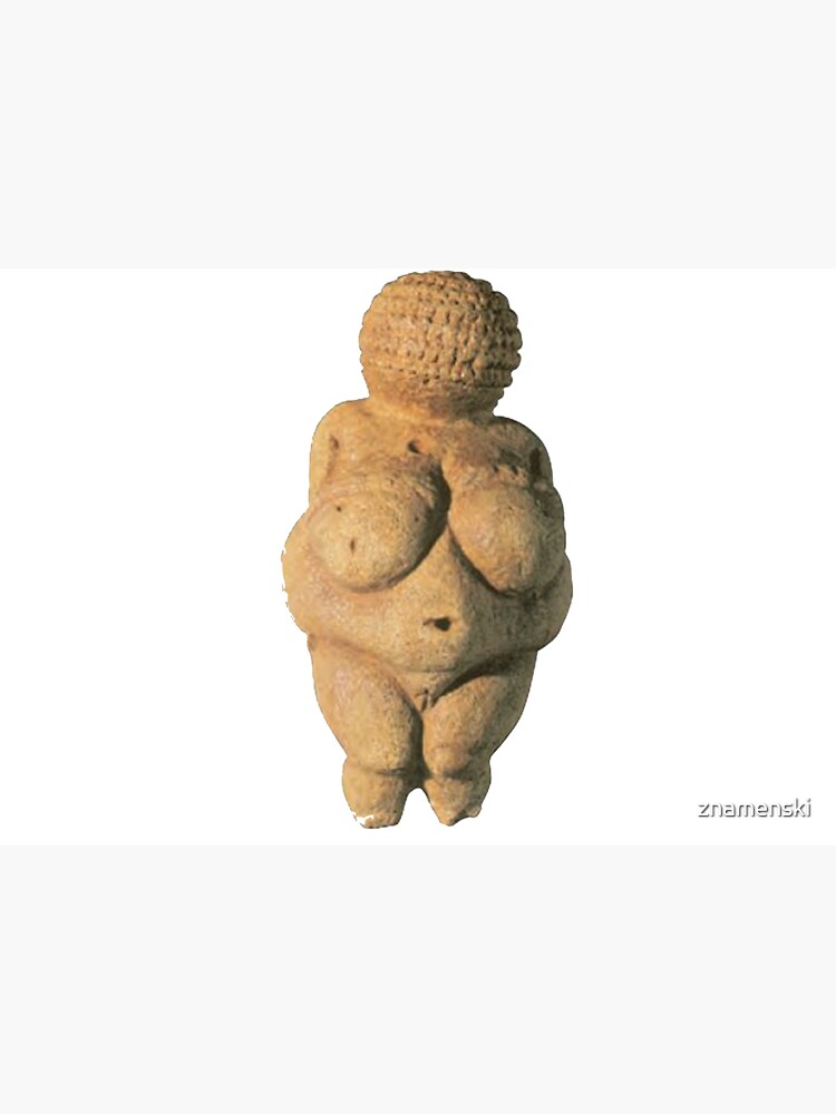 #Venus of #Willendorf #artifact sculpture art figurine statue humanbody #VenusofWillendorf by znamenski