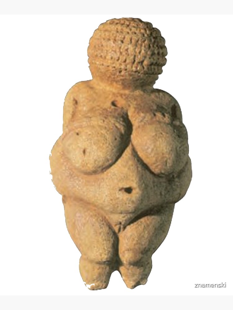 #Venus of #Willendorf #artifact sculpture art figurine statue humanbody #VenusofWillendorf by znamenski