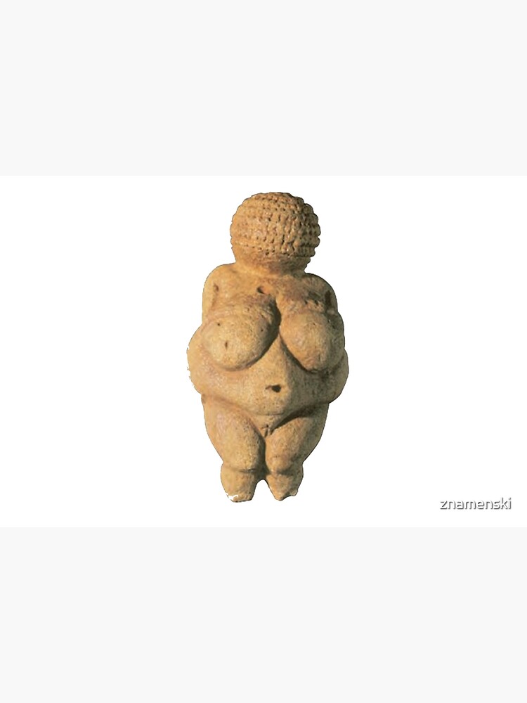#Venus of #Willendorf #artifact sculpture art figurine statue humanbody #VenusofWillendorf by znamenski