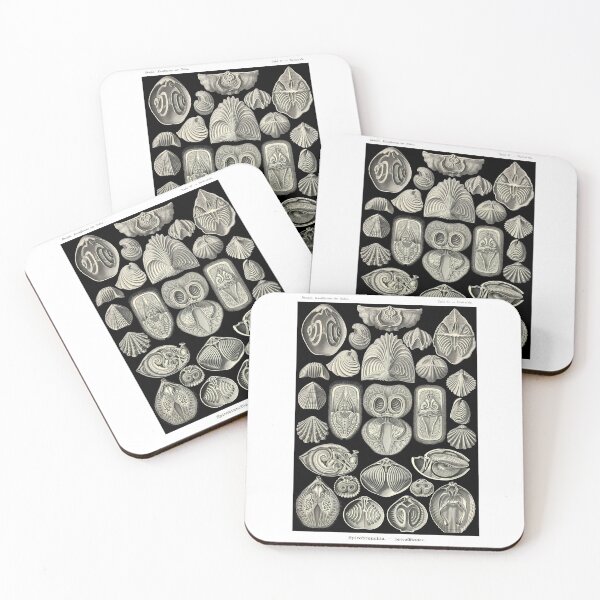 Item preview, Plate 97. Spirobranchia, a group of extinct brachiopods. designed and sold by Squirrox.