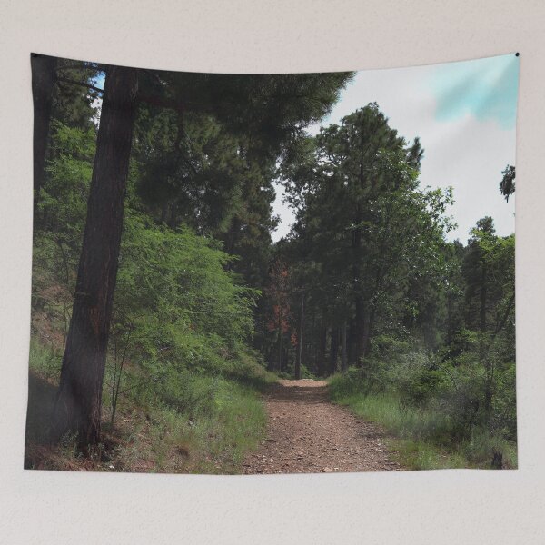 Item preview, Tranquil Forest Trail designed and sold by SiliconValleyUS.