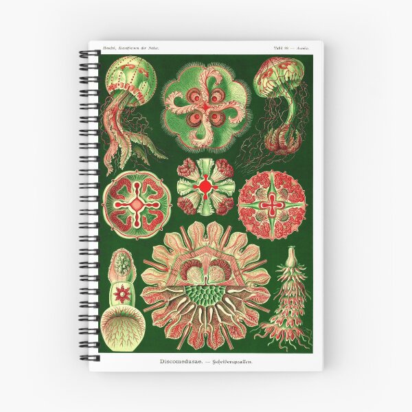 Item preview, Plate 98. Discomedusae, a group of disc-shaped jellyfish. designed and sold by Squirrox.