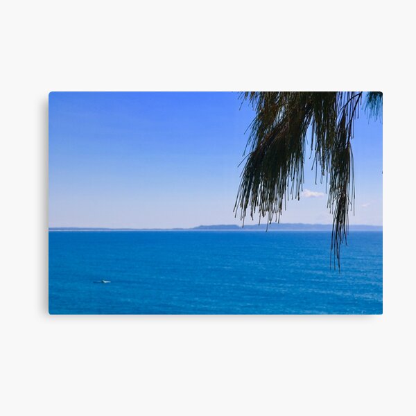 Views of Fraser Island, Qld Australia Canvas Print