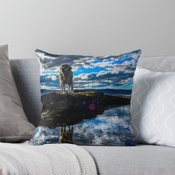 Item preview, Making friends at the beach designed and sold by Benedict Middleton.