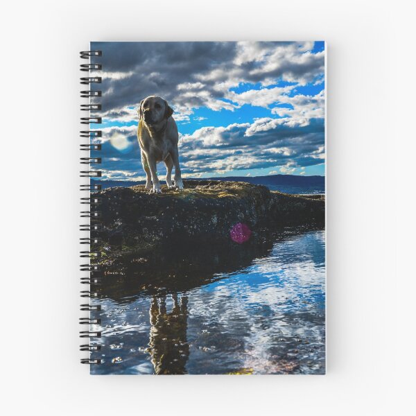 Item preview, Making friends at the beach designed and sold by Benedict Middleton.