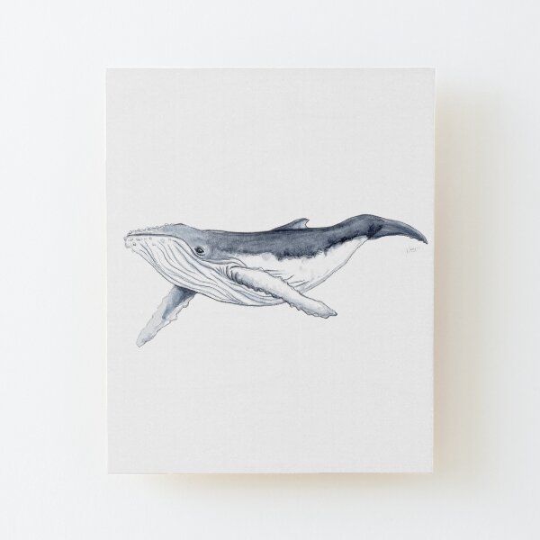Humpback whale baby Wood Mounted Print