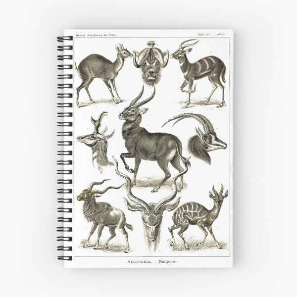 Item preview, Plate 100. Antilopina, the subfamily (now Antilopinae) of gazelles etc. designed and sold by Squirrox.
