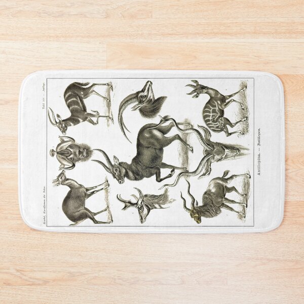 Item preview, Plate 100. Antilopina, the subfamily (now Antilopinae) of gazelles etc. designed and sold by Squirrox.