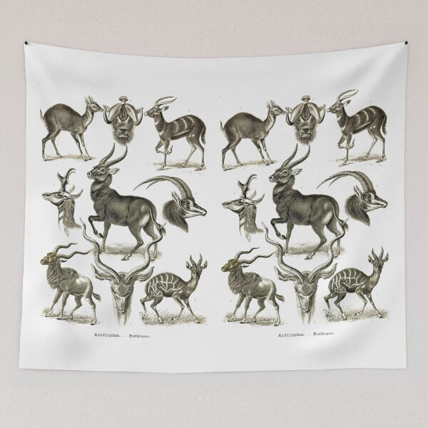 Item preview, Plate 100. Antilopina, the subfamily (now Antilopinae) of gazelles etc. designed and sold by Squirrox.