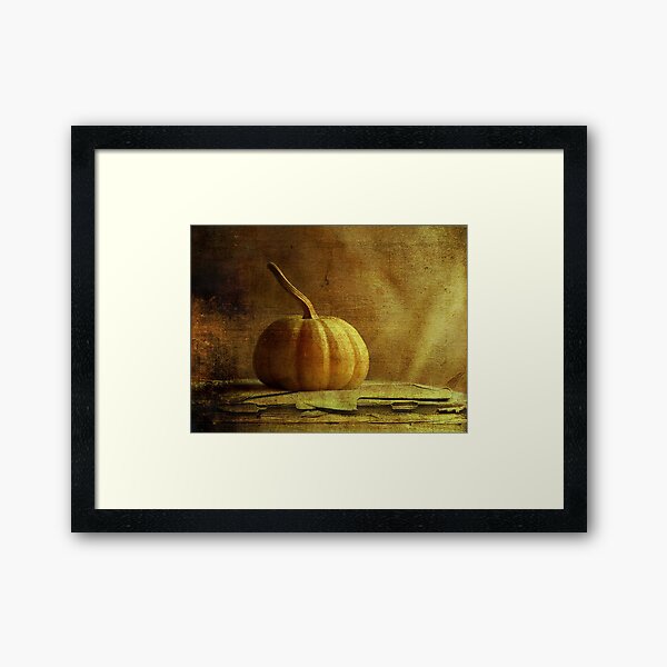Gourd Framed Art Print