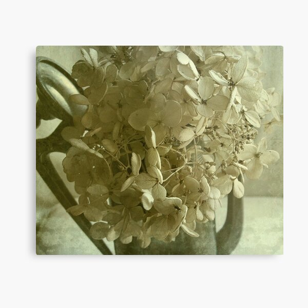 Pewter Light Metal Print