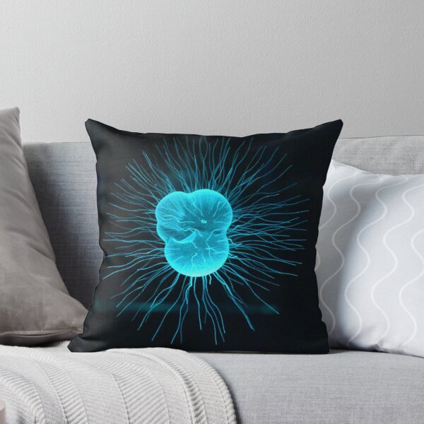 Item preview, Sea Organism at Vladivostok Aquarium designed and sold by Igor Pozdnyakov.