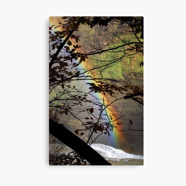 Peek-a-bow Canvas Print