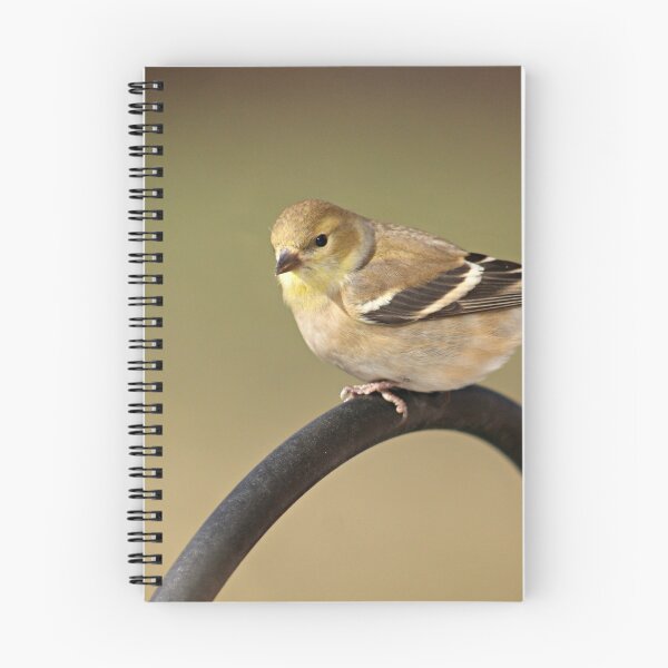 Item preview, American Goldfinch designed and sold by Linda Jackson.