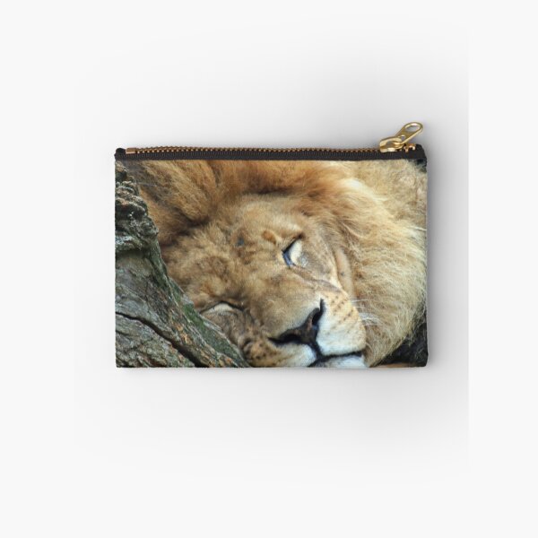 Item preview, Lion 036 designed and sold by JAMFoto.