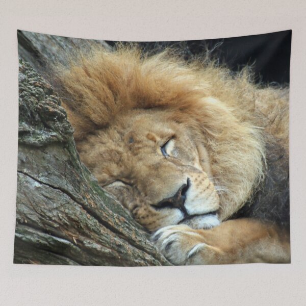 Item preview, Lion 036 designed and sold by JAMFoto.
