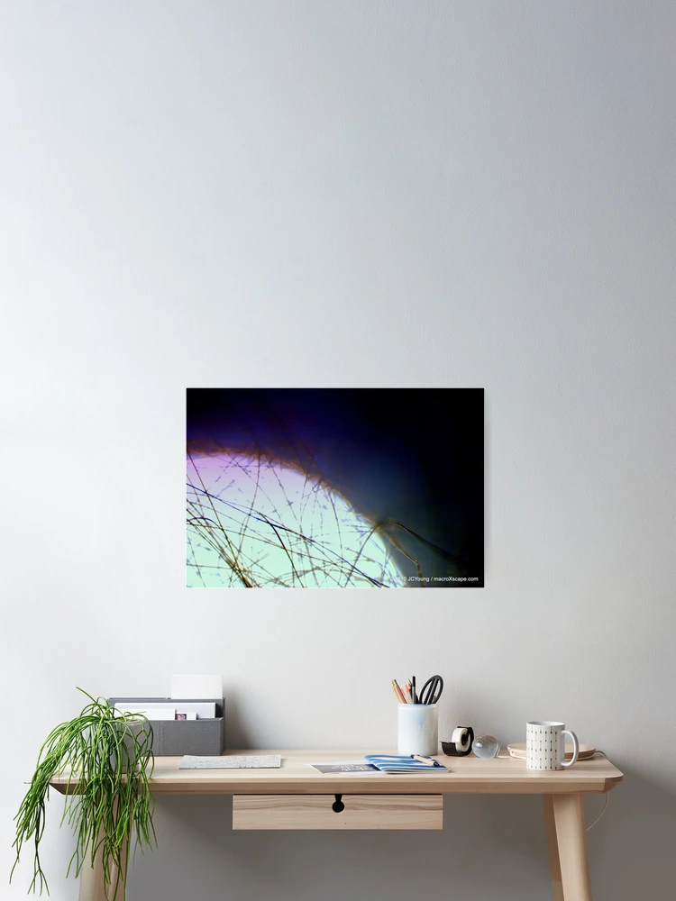 Thumbnail 2 of 3, Poster, Moon Rise designed and sold by MacroXscape.