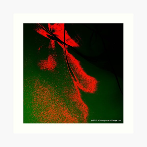 The Expressionist Fall Art Print