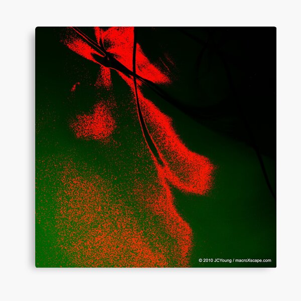 The Expressionist Fall Canvas Print