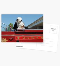 Fire Dogs Postcards