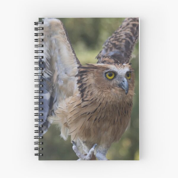 Item preview, Buffy Fish Owl designed and sold by byronbackyard.