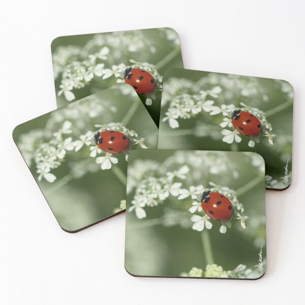 Item preview, Ladybug & Hemlock designed and sold by srwdesign.