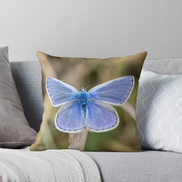 Aperçu de l'œuvre Common Blue Butterfly créée et vendue par Ashley Crombet-Beolens.