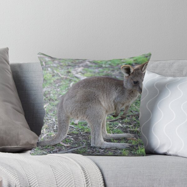 Item preview, Young Kangaroo designed and sold by Steve9.